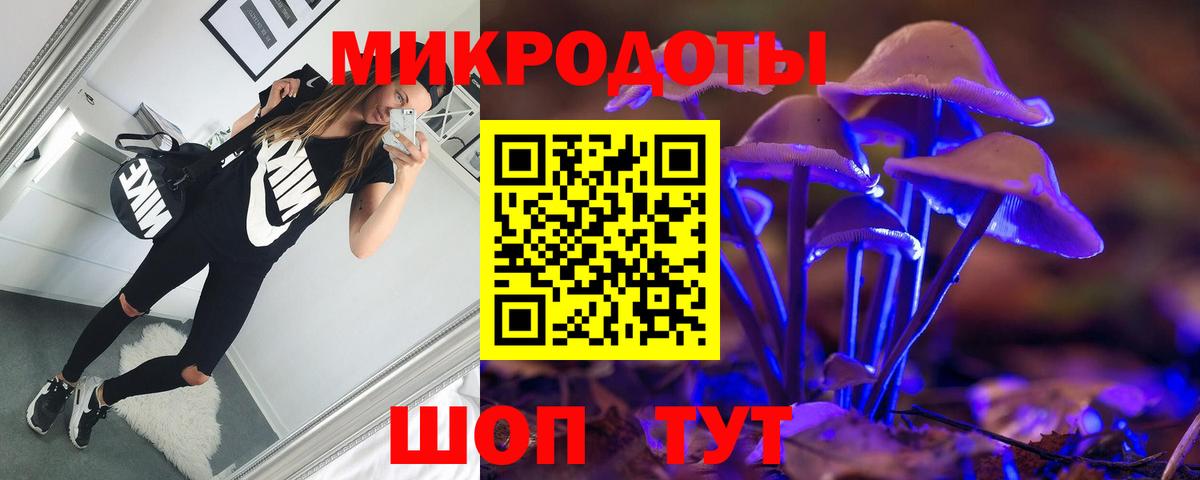 Псилоцибиновые грибы Magic Shrooms  Вход с VPN  Псилоцибиновые грибы GOLDEN TEACHER  Кудрово 
